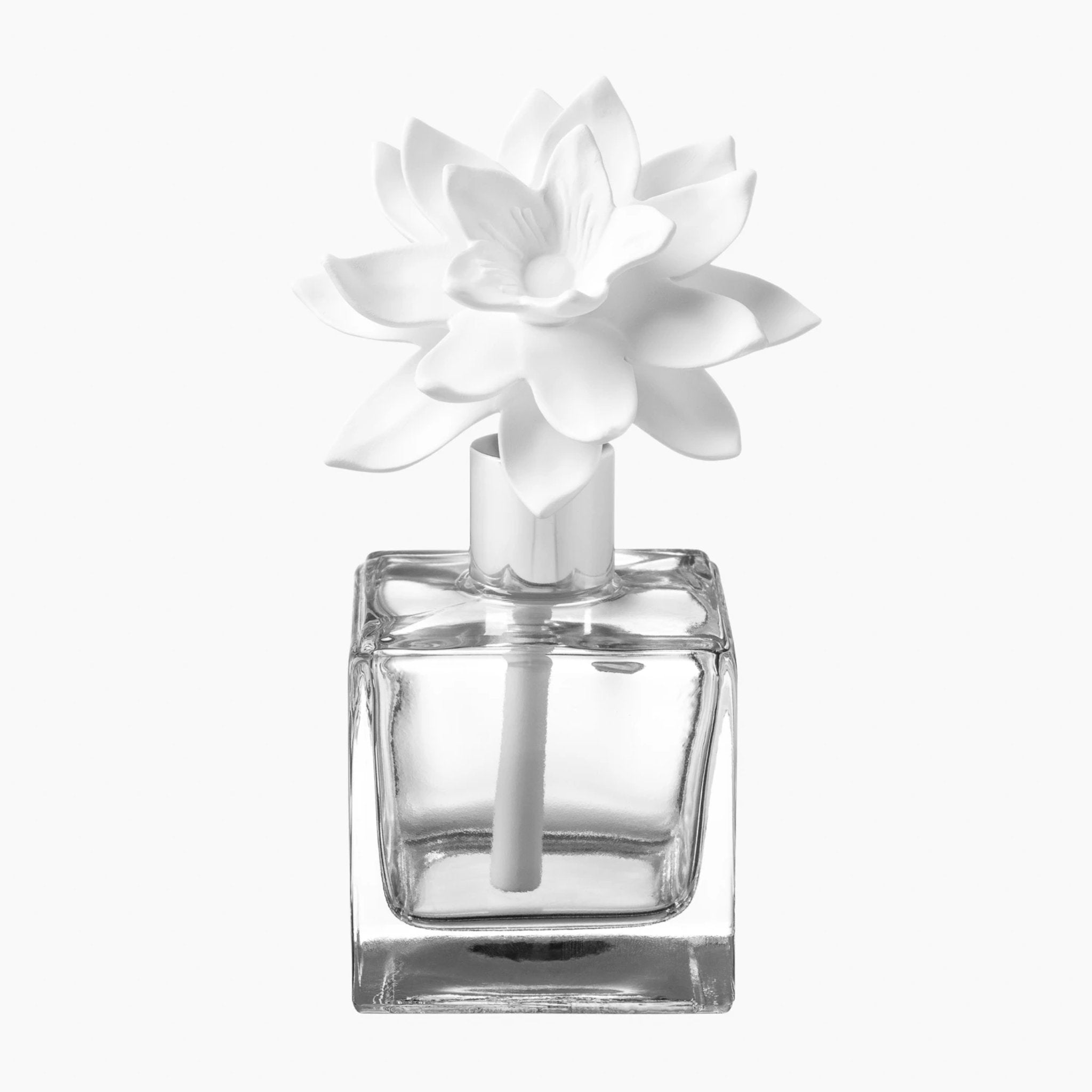 Porcelain Diffuser Narcissus