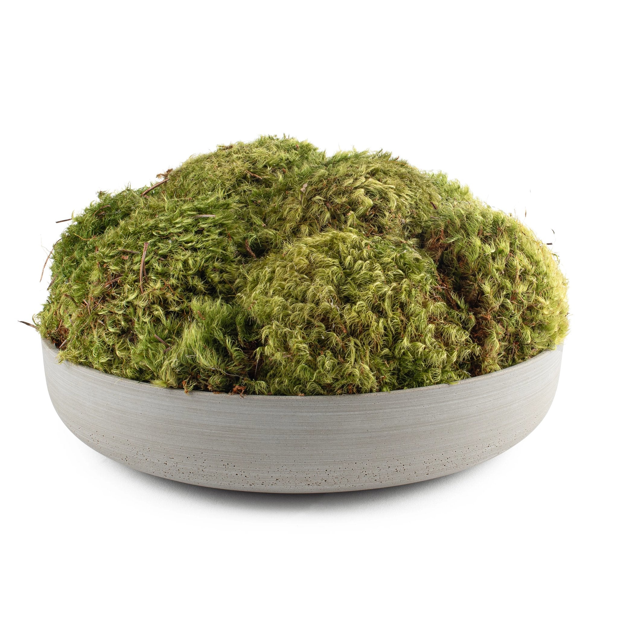 Concrete Base Moss Pot Deep