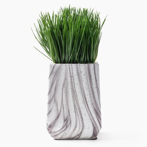 Marble Base Grass Plant