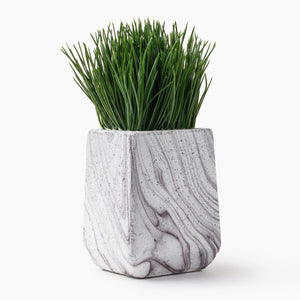 Marble Base Grass Plant